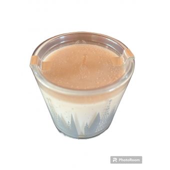 Vela Aromatizadora Aroma Floresta, 170 Gramas - TBS