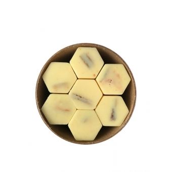 Melts Citrus do Tânger - 224 Horas de Fragrancia - Make.Com