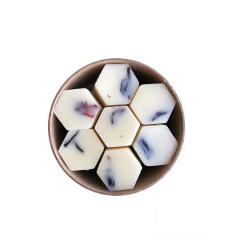 Melts Vinho e Hibiscus - 224 Horas de Fragrância